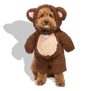 Petco Teddy Bear Illusion Pet Halloween Costume