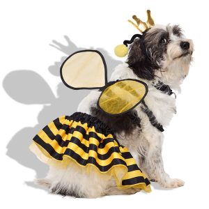 Petco Queen Bee 3-Piece Pet Halloween Costume