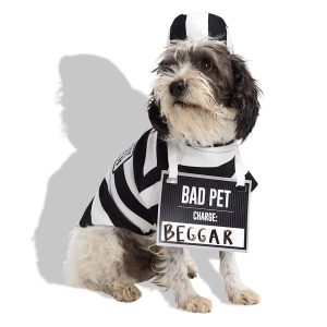 Petco Prisoner Pet Halloween Costume