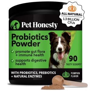 Pet Honesty Pumpkin Probiotics GI Powder for Dogs