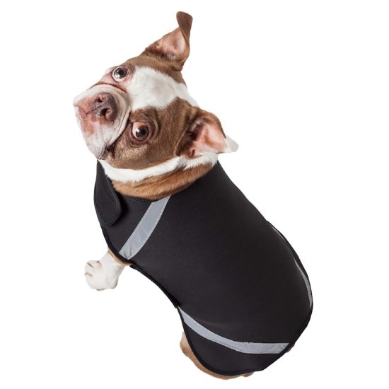 4580495-center-3.jpg