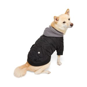 Reddy Hooded Pet Bomber Jacket