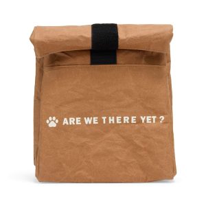 EveryYay Travel Insulated Cooler Bag