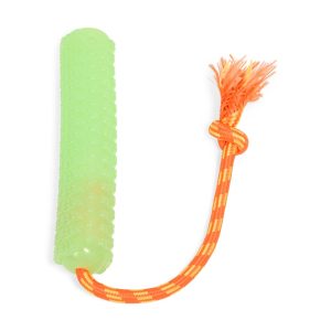 Leaps & Bounds Green Glow in the Dark Bumper Dog Toy