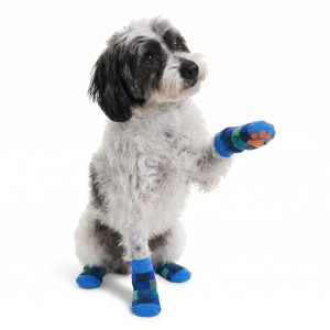 Petco Blue Plaid Dog Socks