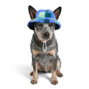 Petco Blue Plaid Pet Bucket Hat