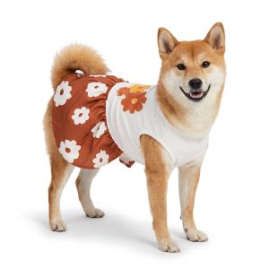 Petco Chunky Flower Pet Dress