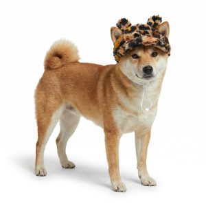 Petco Leopard Teddy Bear Ear Pet Hat