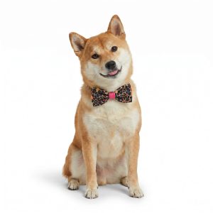 Petco Print Pet Bowtie Accessory