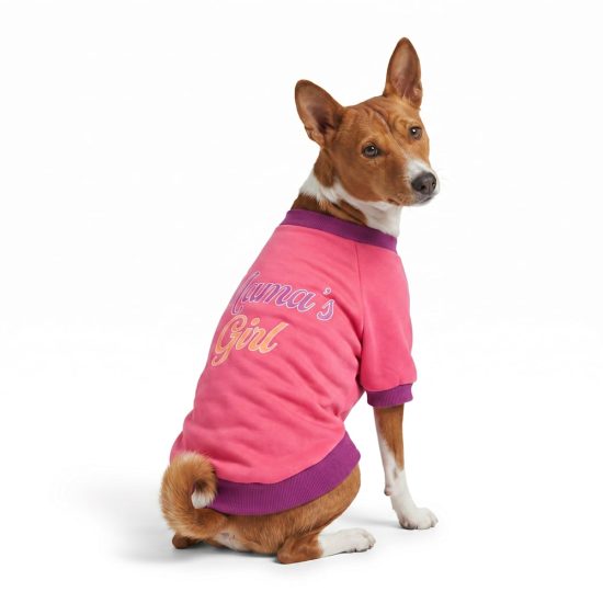 4704064-center-1.jpg 4704064-center-1.jpg
