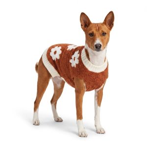 Petco Chunky Flower Pet Sweater