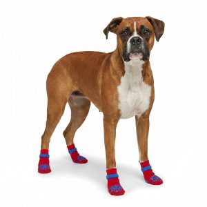 Petco Functional Gripping Dog Socks