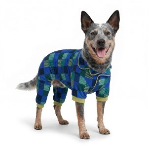 Petco Blue Plaid Pet Pajamas