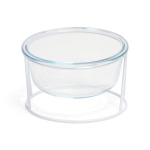EveryYay Elevated Glass Dog Bowl with Metal Stand