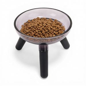 Petco Raised Glass Dog Bowl with Plastic Stand