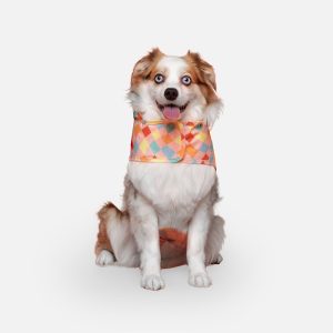 Canada Pooch Pick Me Poncho for Dogs