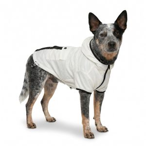 Petco Glow in the Dark Pet Jacket