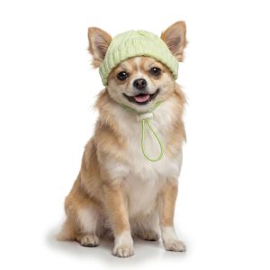 Petco Glow in the Dark Pet Beanie