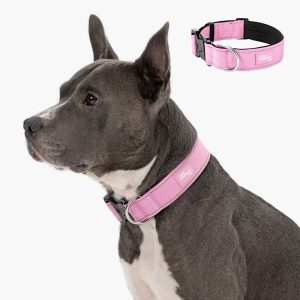 Dog Friendly Co Tactical Dog Collar