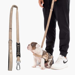 Dog Friendly Co Bungee Dog Leash