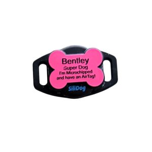 SiliDog Silent Pet Tag SiliSlider