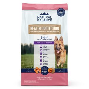 Natural Balance Health Protection Salmon & Rice Recipe Large Breed Dry Dog Food