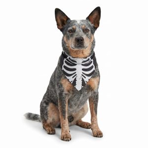 Petco Skeleton Pet Bandana