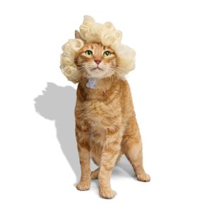 Petco Blonde Curly Wig Pet Costume Headpiece