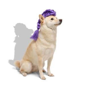Petco Purple Braids Wig Pet Costume Headpiece