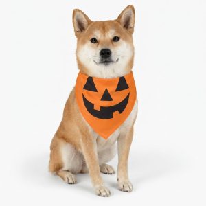 Petco Pumpkin Pet Halloween Bandana