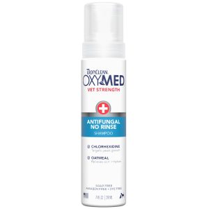 TropiClean OxyMed Antifungal No Rinse Dog Shampoo
