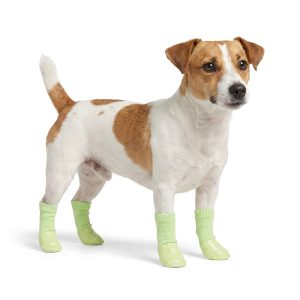 Petco Glow in the Dark Dog Socks