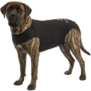 Zenpet ZenDog+ Recovery, Calming & Shed Control Shirt for Dogs
