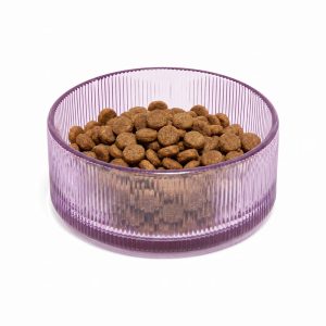 Petco Purple Ribbed Glass Dog Bowl