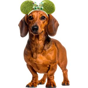 RUBIES Minnie Ears St.Patricks for Dogs