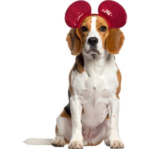 RUBIES Mickey Ears Valentines for Dogs