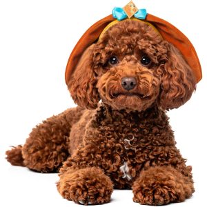 RUBIES Lady and The Tramp Ears for Dogs