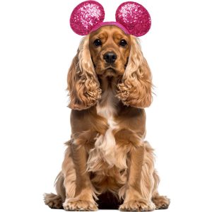 RUBIES Minnie Ears Valentines for Dogs