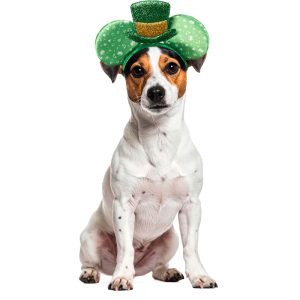 RUBIES Mickey Ears St.Patricks for Dogs