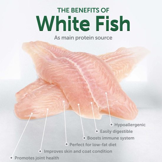4750087-center-4.jpg