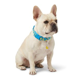 Petco Ducky Dog Collar