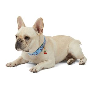 Petco Cherry Dog Collar