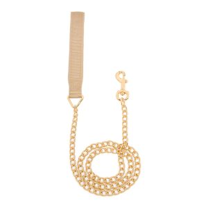 Petco Chain Dog Leash