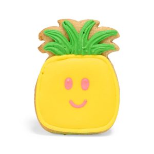 Petco Pineapple Flavor Hand-Decorated Dog Treats