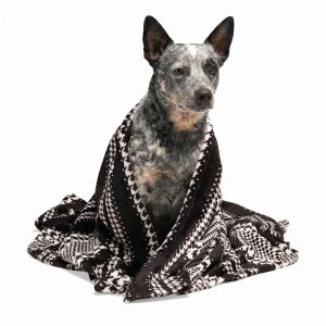Petco Black & Grey Houndstooth Striped Pet Throw Blanket