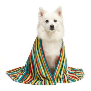 Petco Color Striped Pet Throw Blanket