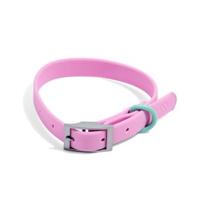 Wild One Bubblegum Colorblock Dog Collar