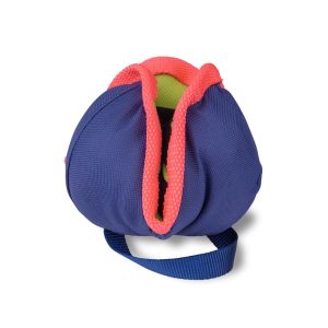 Coachi Chase & Treat for Dogs