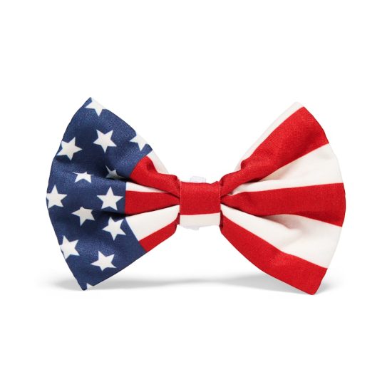 4779947-center-2.jpg