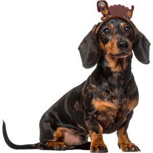 RUBIES Slinky Ears for Dogs